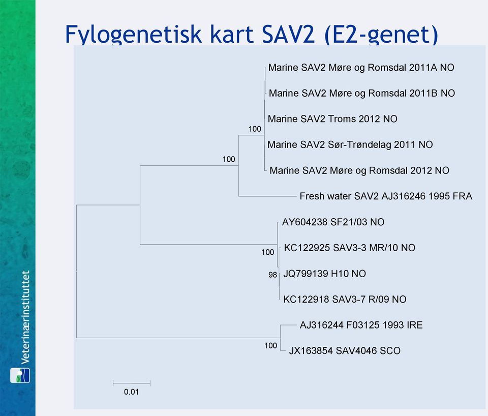 Romsdal 2012 NO Fresh water SAV2 AJ316246 1995 FRA AY604238 SF21/03 NO 100 98 KC122925 SAV3-3