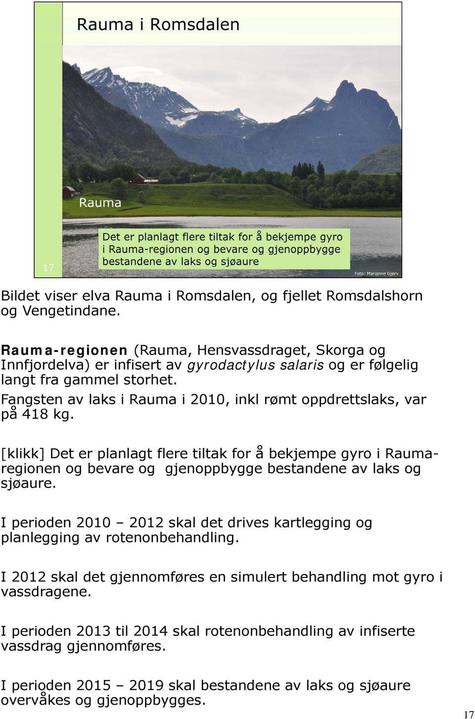 Fangsten av laks i Rauma i 2010, inkl rømt oppdrettslaks, var på 418 kg.