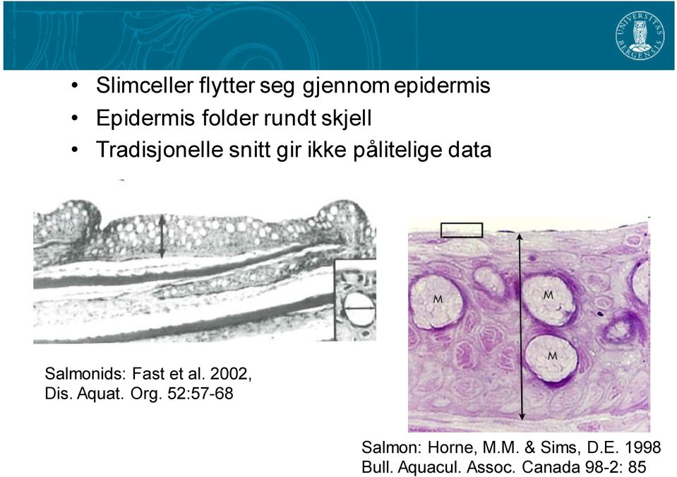 Salmonids: Fast et al. 2002, Dis. Aquat. Org.