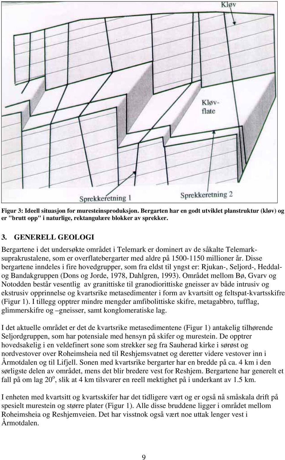 Området mellom Bø, Gvarv og Notodden består vesentlig av granittiske til granodiorittiske gneisser av både intrusiv og ekstrusiv opprinnelse og kvartsrike metasedimenter i form av kvartsitt og