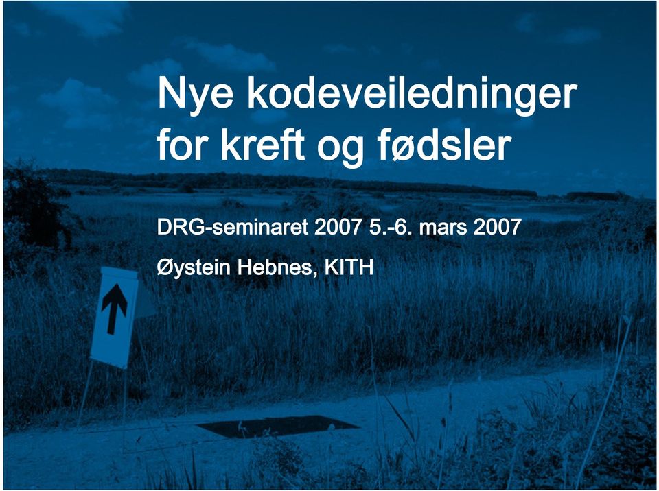 DRG-seminaret 2007 5.-6.