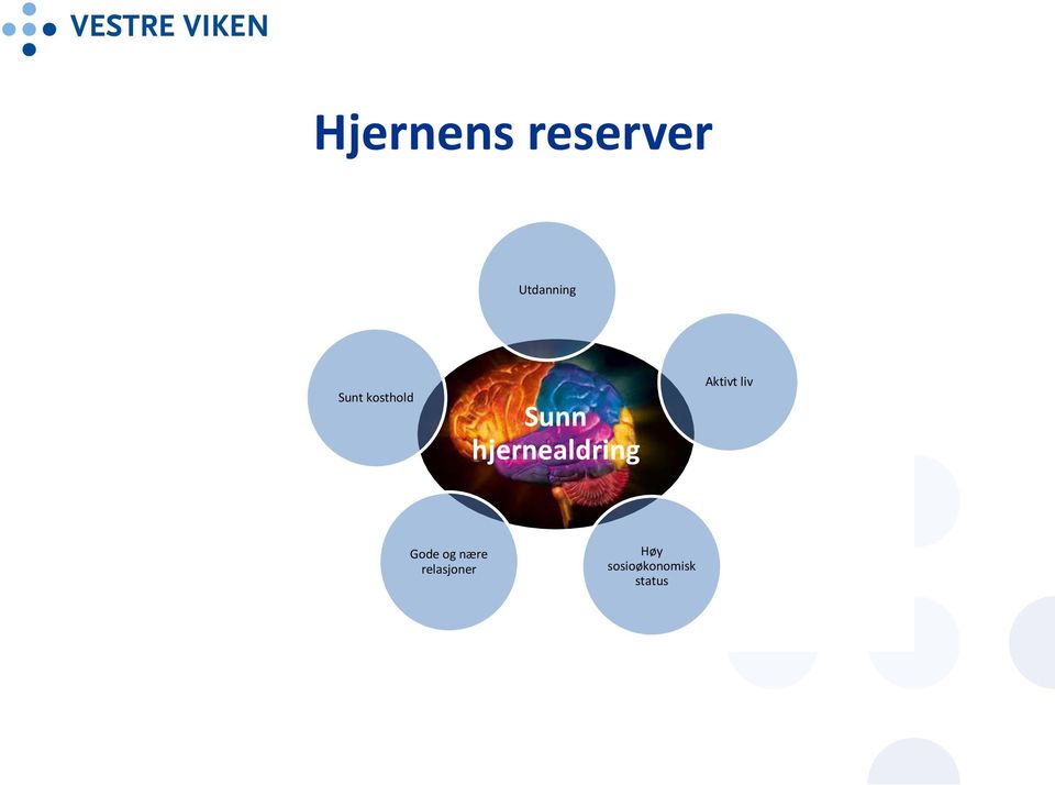 hjernealdring Aktivt liv Gode