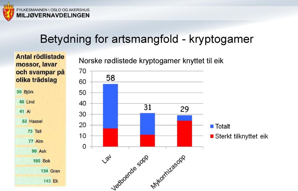 kryptogamer Norske