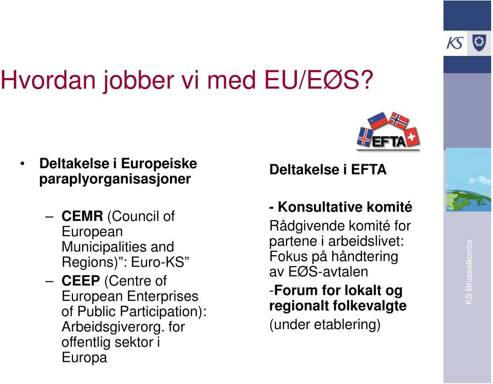 Euro-KS CEEP (Centre of European Enterprises of Public Participation): Arbeidsgiverorg.