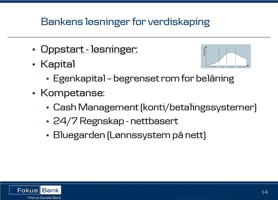 belåning Kompetanse: Cash Management