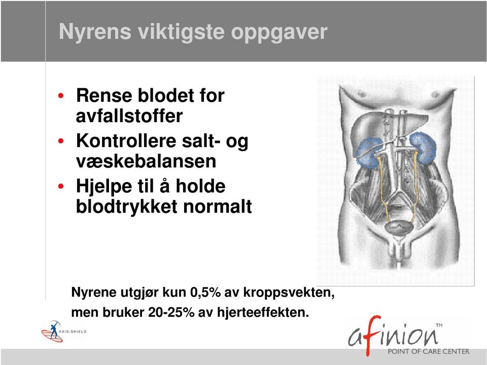 Hjelpe til å holde blodtrykket normalt Nyrene