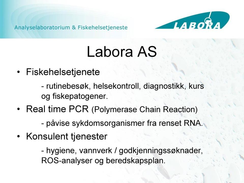 Real time PCR (Polymerase Chain Reaction) - påvise sykdomsorganismer