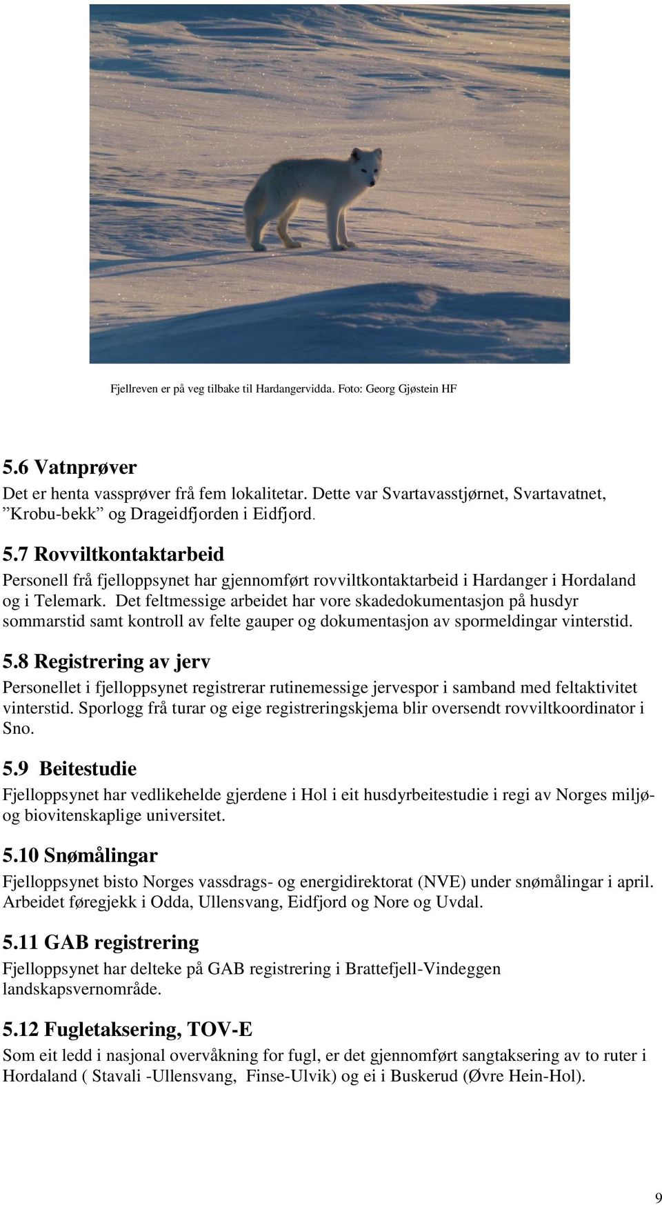 7 Rovviltkontaktarbeid Personell frå fjelloppsynet har gjennomført rovviltkontaktarbeid i Hardanger i Hordaland og i Telemark.