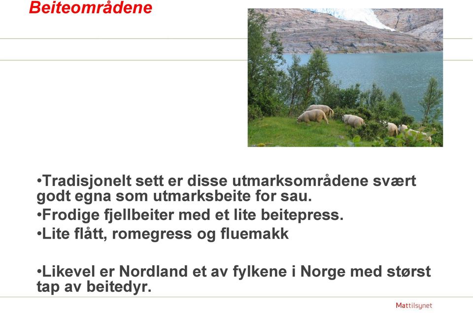 Frodige fjellbeiter med et lite beitepress.