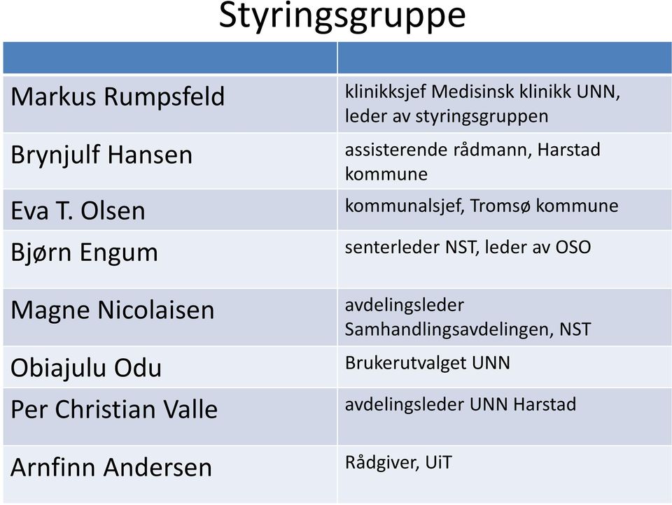 Medisinsk klinikk UNN, leder av styringsgruppen assisterende rådmann, Harstad kommune kommunalsjef,