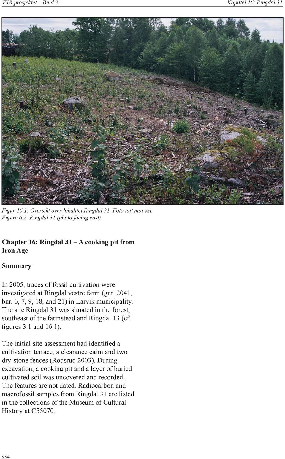 The site Ringdal 31 was situated in the forest, southeast of the farmstead and Ringdal 13 (cf. ﬁgures 3.1 and 16.1).