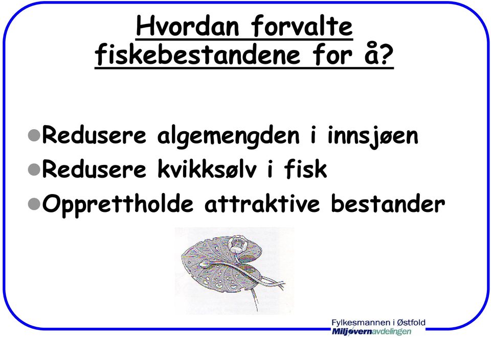 Redusere algemengden i innsjøen