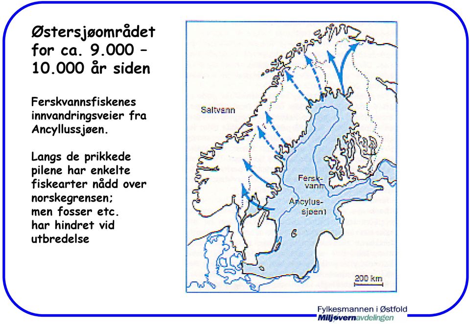 Ancyllussjøen.