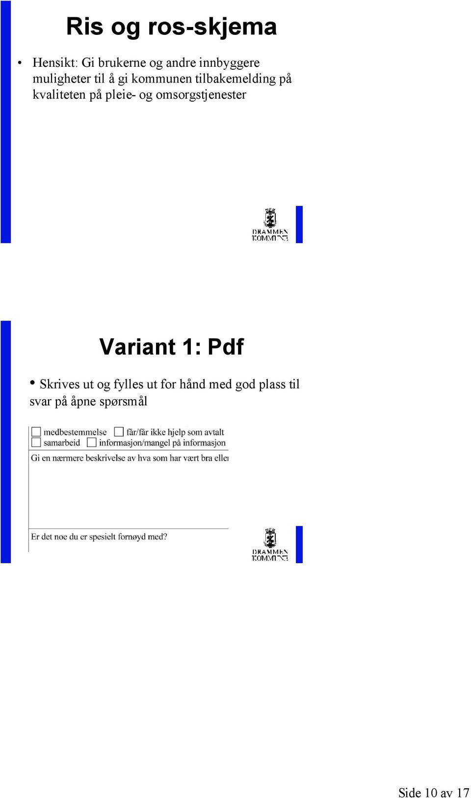 pleie- og omsorgstjenester Variant 1: Pdf Skrives ut og