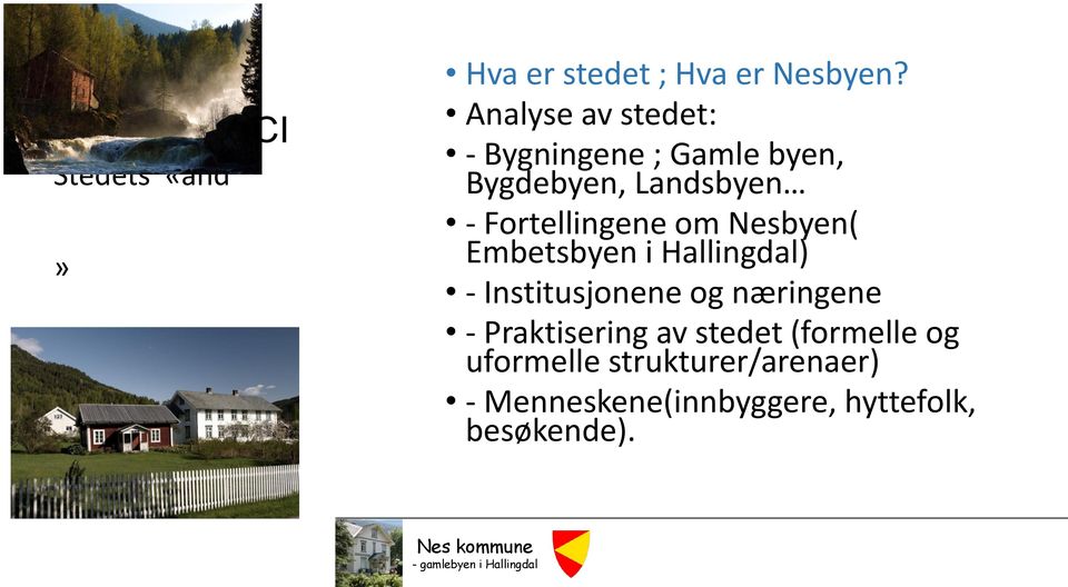 Fortellingene om Nesbyen( Embetsbyen i Hallingdal) - Institusjonene og næringene