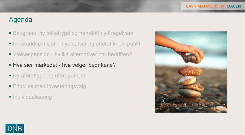 hvilke alternativer har bedriften?