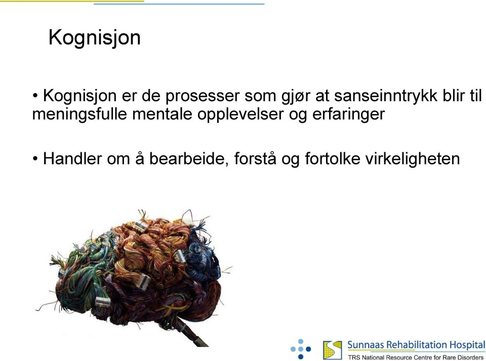 mentale opplevelser og erfaringer Handler