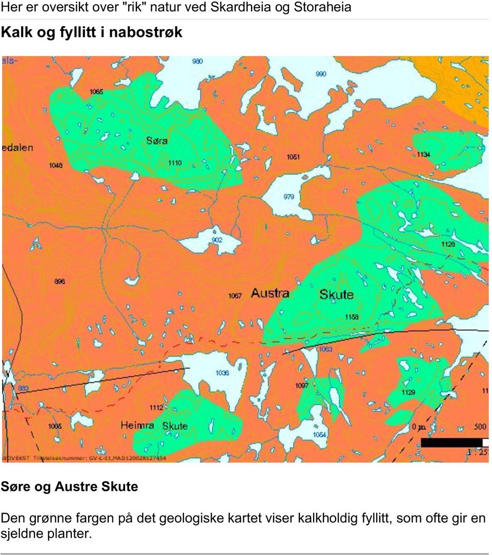 Austre Skute Den grønne fargen på det geologiske