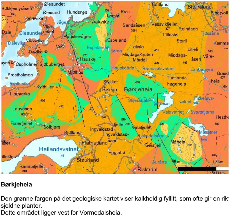 fyllitt, som ofte gir en rikflora