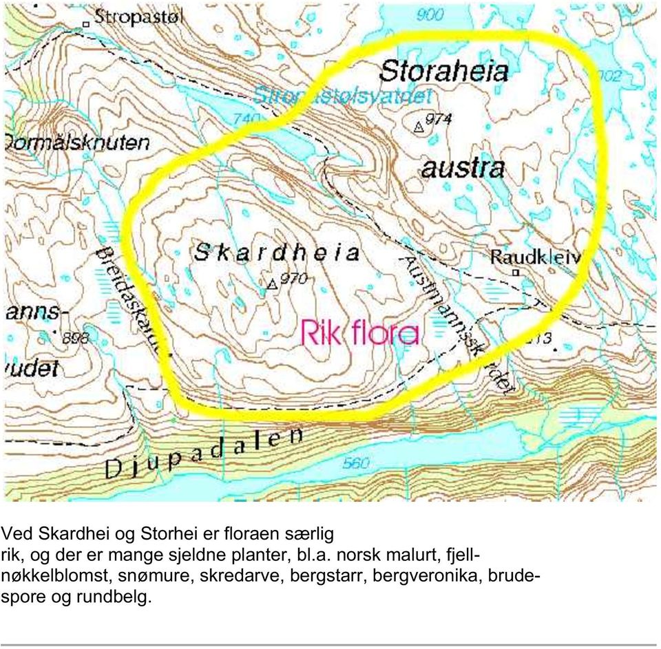 ge sjeldne plan