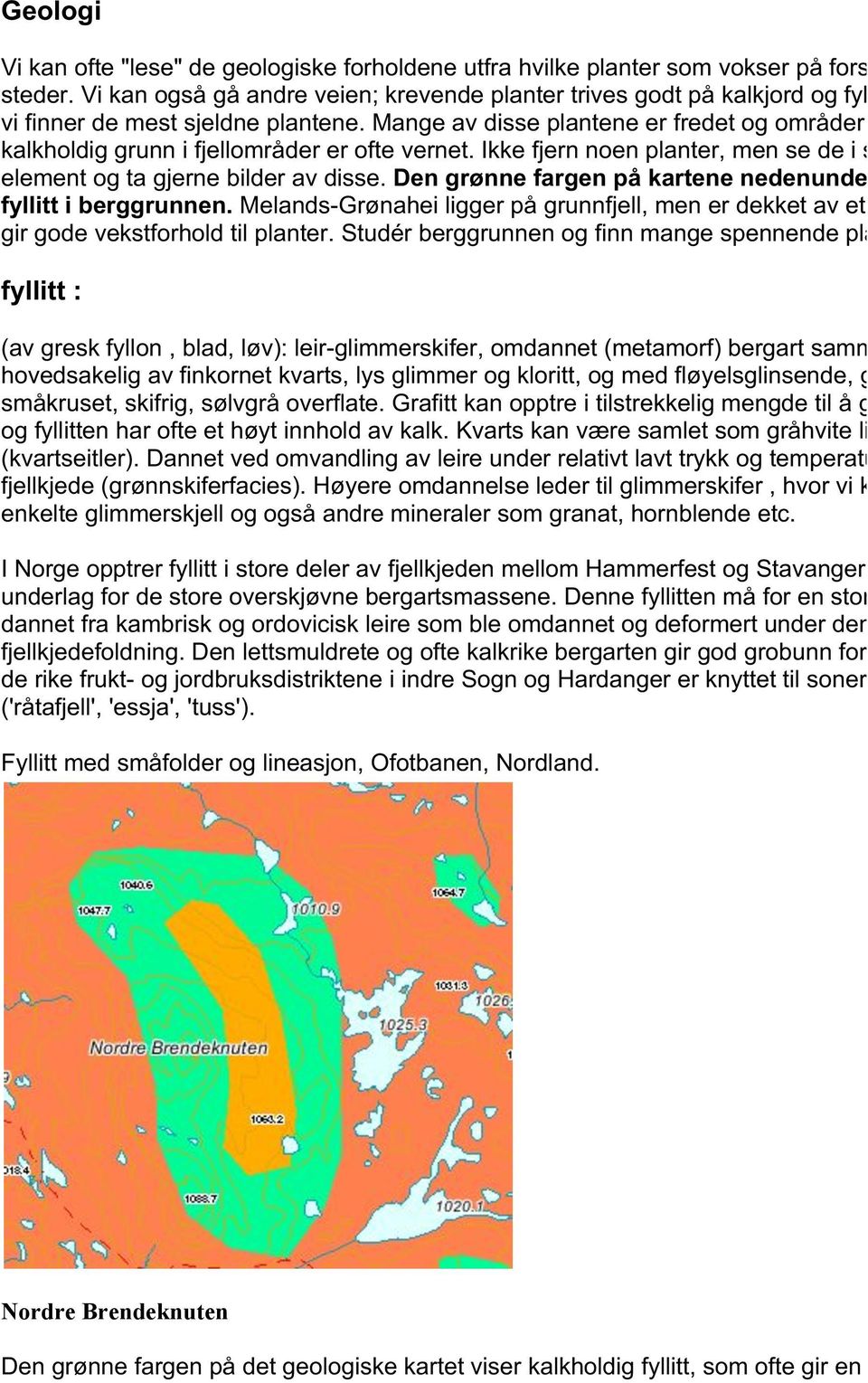 Ikke fjern noen planter, men se de i sitt r element og ta gjerne bilder av disse. Den grønne fargen på kartene nedenunder er fyllitt i berggrunnen.