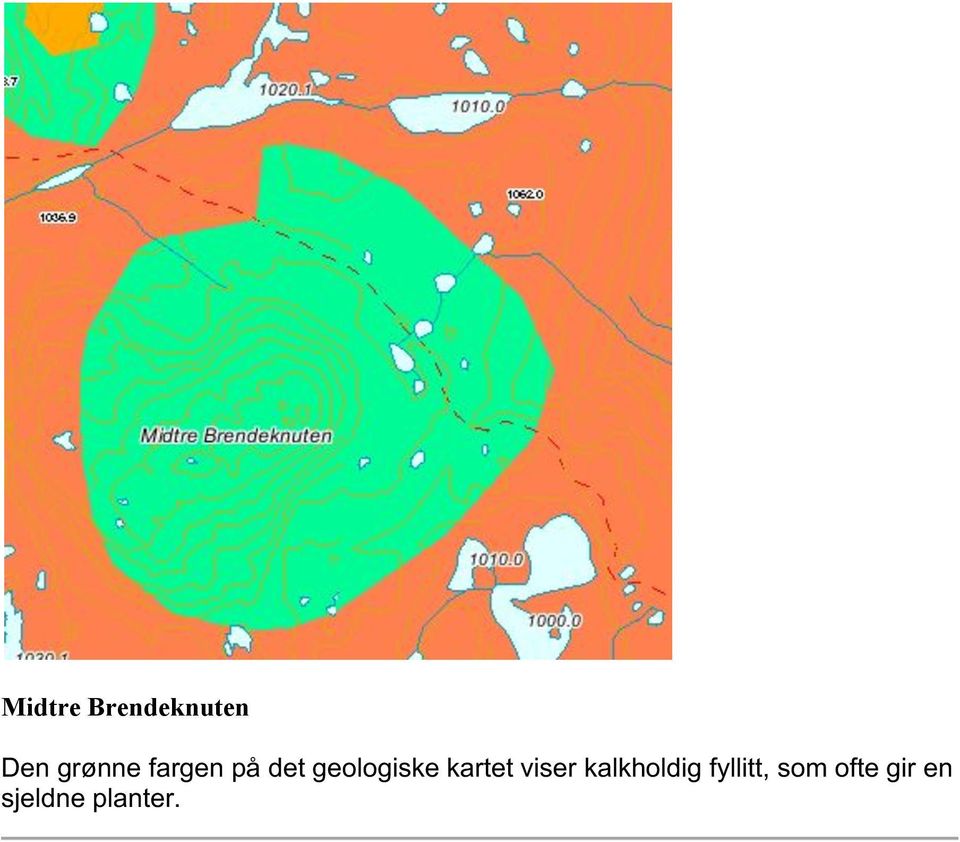 geologiske kartet viser