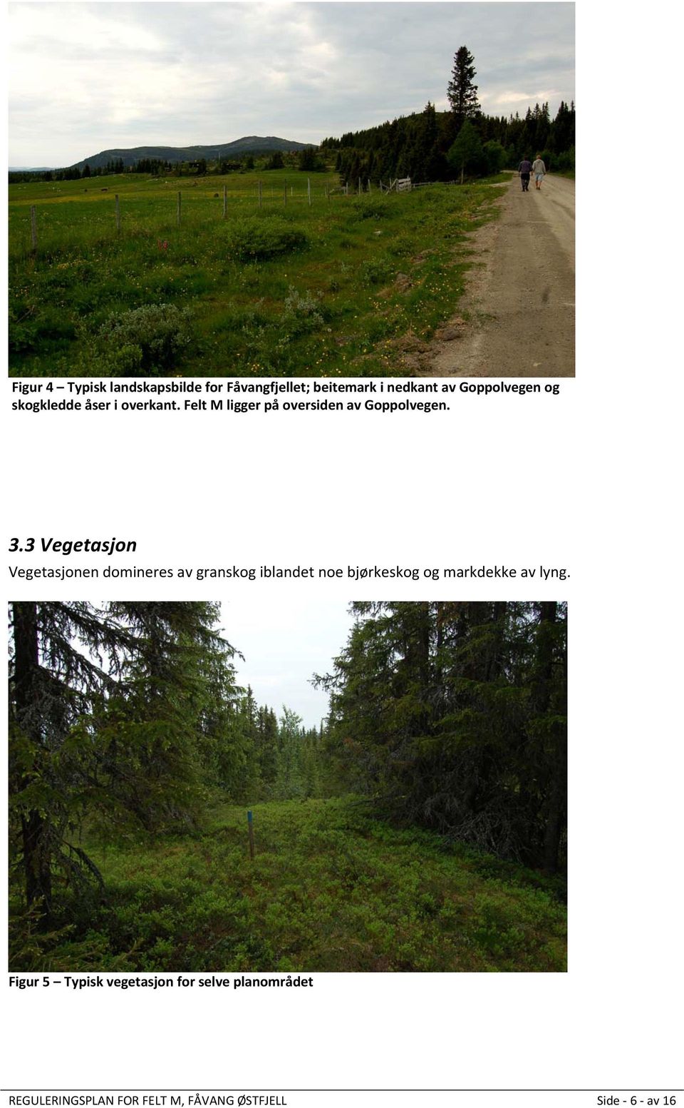 3 Vegetasjon Vegetasjonen domineres av granskog iblandet noe bjørkeskog og markdekke av