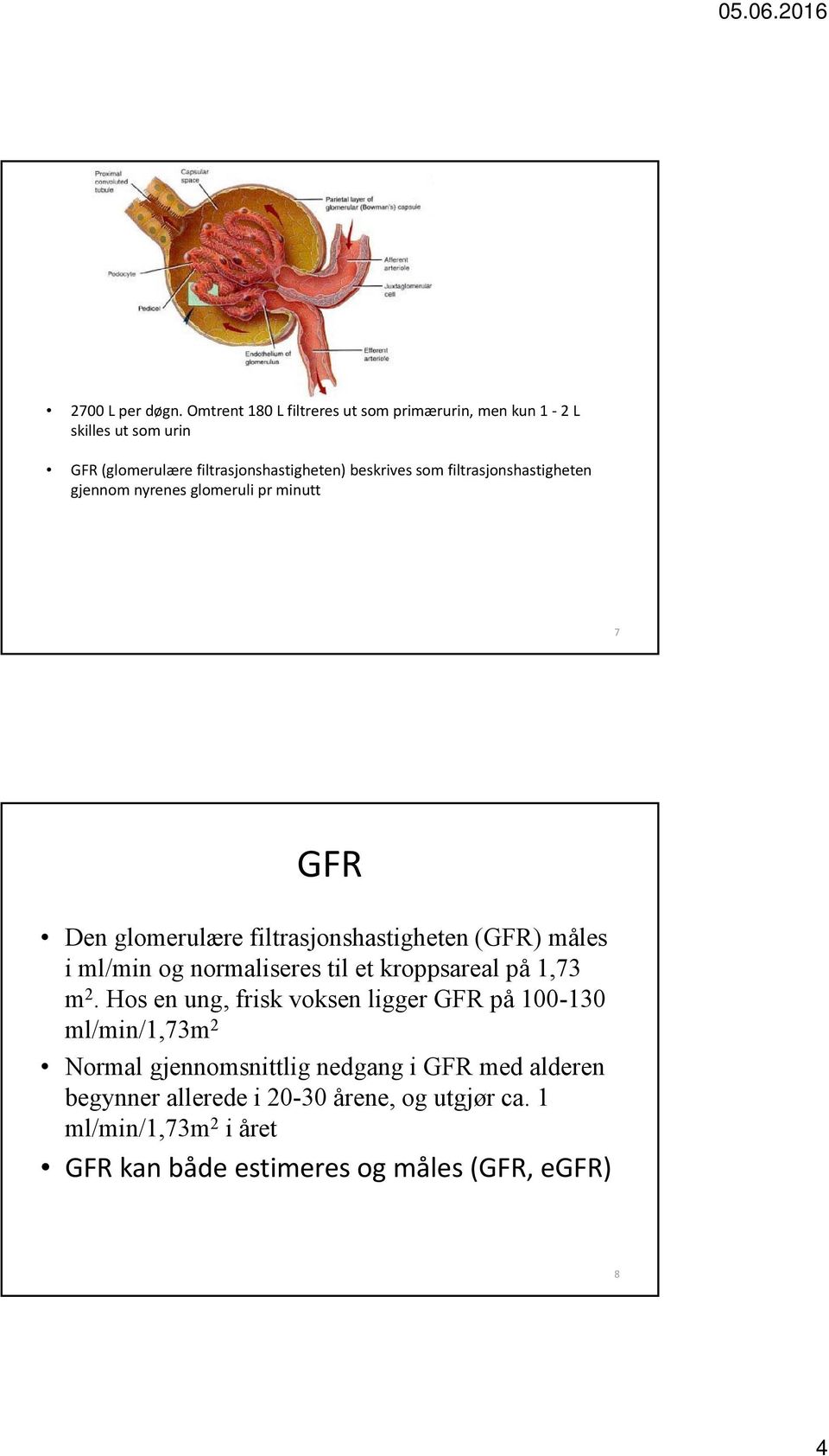 filtrasjonshastigheten gjennom nyrenes glomeruli pr minutt 7 GFR Den glomerulære filtrasjonshastigheten (GFR) måles i ml/min og