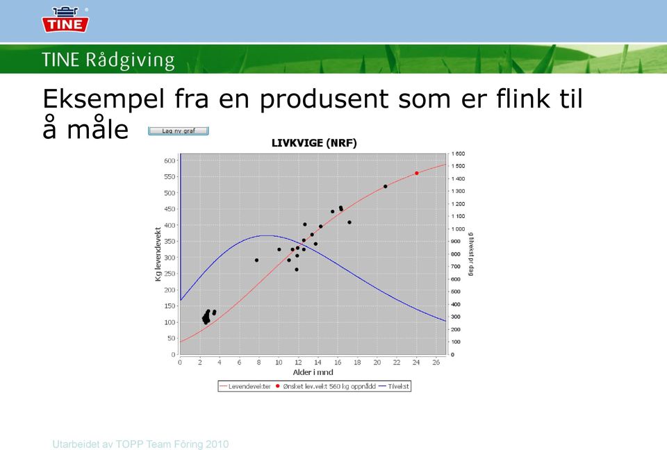 som er flink