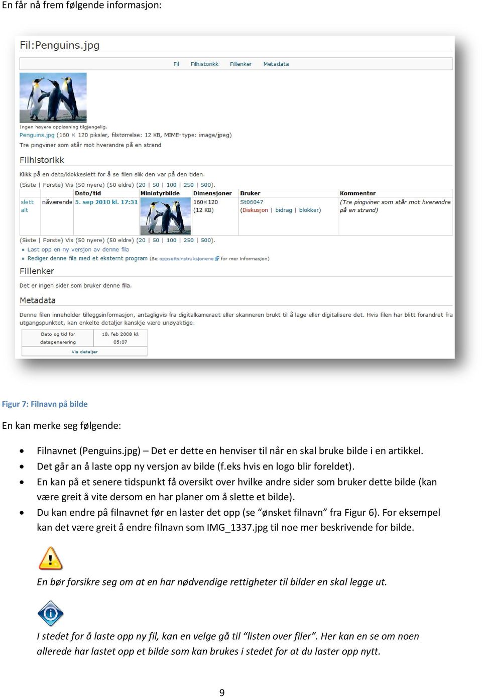 En kan på et senere tidspunkt få oversikt over hvilke andre sider som bruker dette bilde (kan være greit å vite dersom en har planer om å slette et bilde).