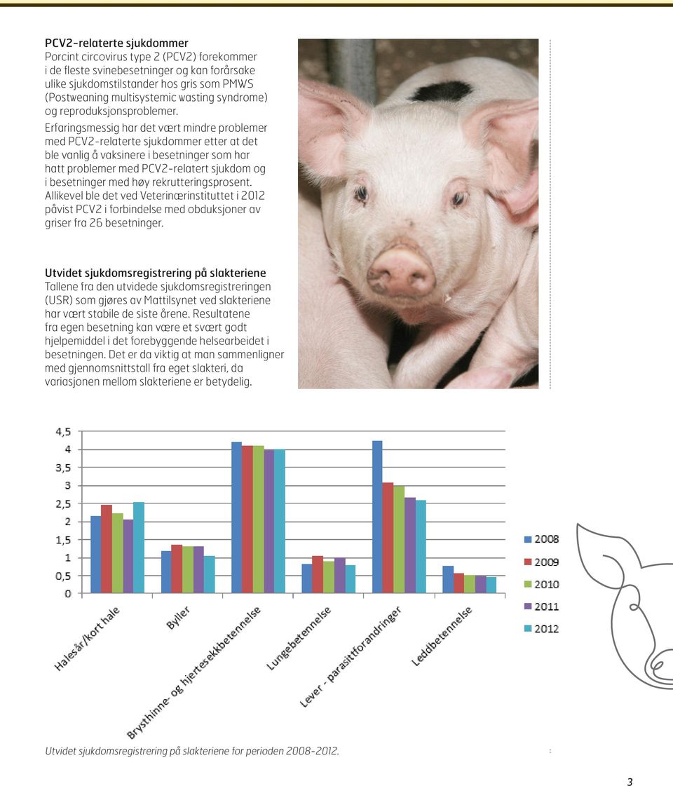 Erfaringsmessig har det vært mindre problemer med PCV2-relaterte sjukdommer etter at det ble vanlig å vaksinere i besetninger som har hatt problemer med PCV2-relatert sjukdom og i besetninger med høy