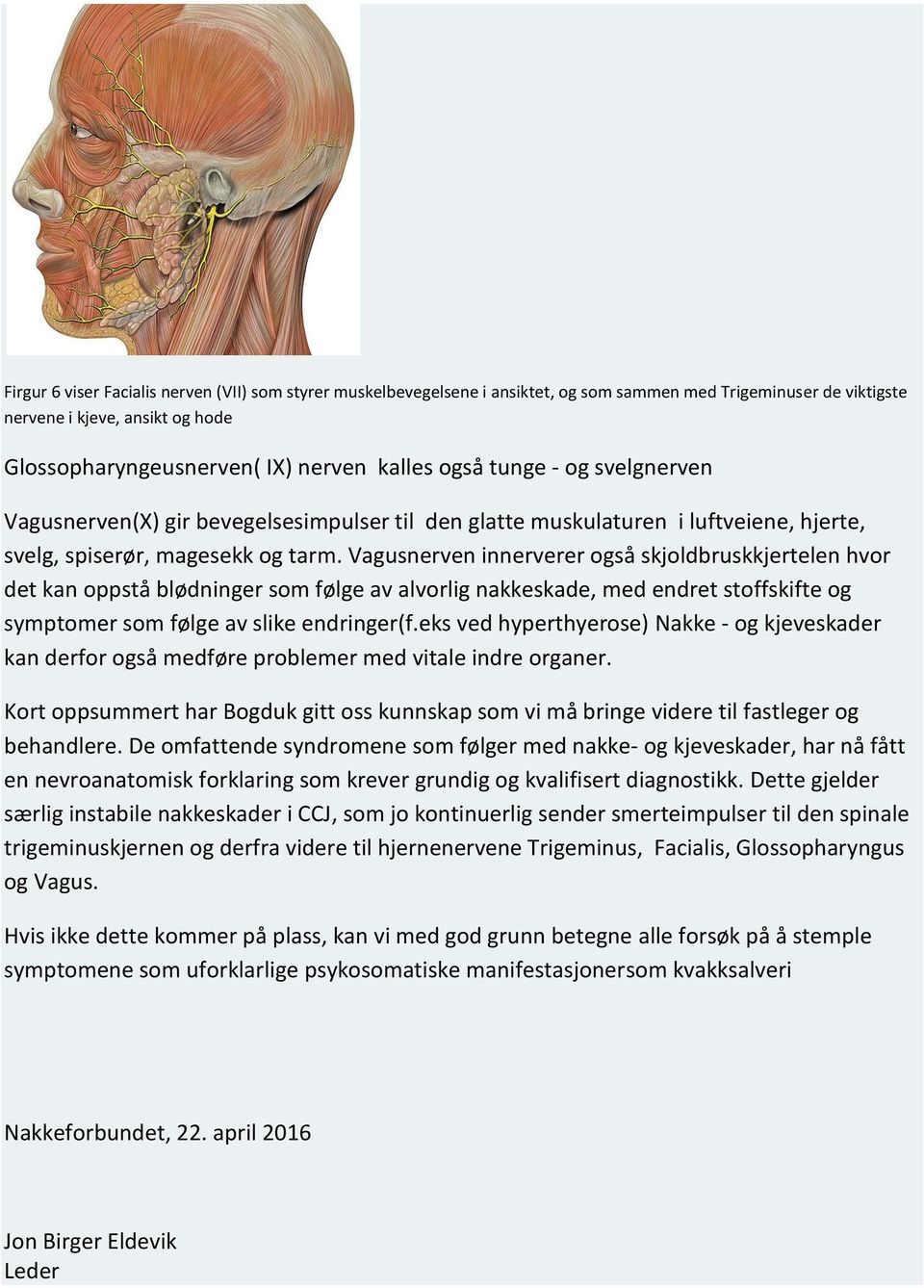 Vagusnerven innerverer også skjoldbruskkjertelen hvor det kan oppstå blødninger som følge av alvorlig nakkeskade, med endret stoffskifte og symptomer som følge av slike endringer(f.