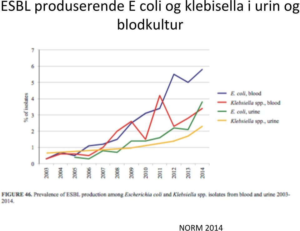 klebisella i urin