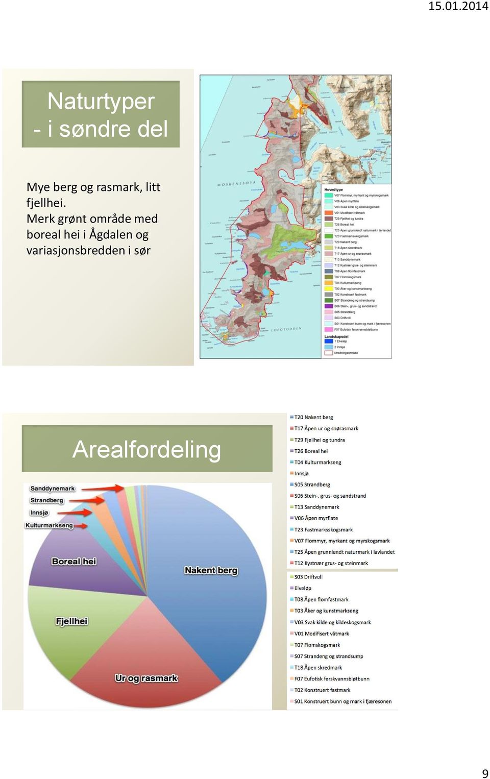 Merk grønt område med boreal hei i