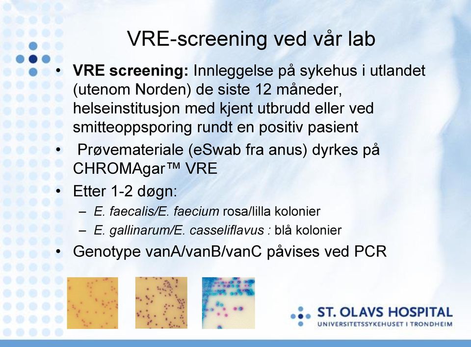 Prøvemateriale (eswab fra anus) dyrkes på CHROMAgar VRE Etter 1-2 døgn: VRE-screening ved vår lab E.