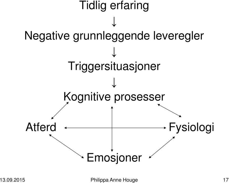 Triggersituasjoner Kognitive