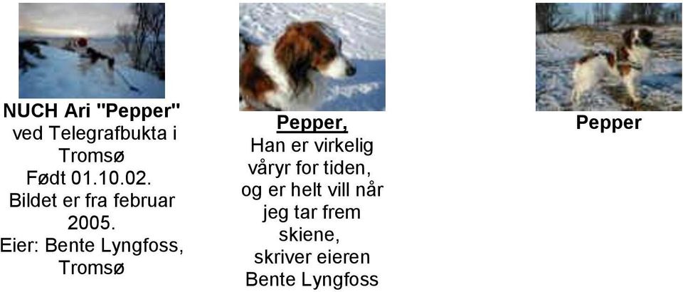 frem skiene, skriver eieren Bente Lyngfoss Pepper Send gjerne inn flere bilder til albumet til