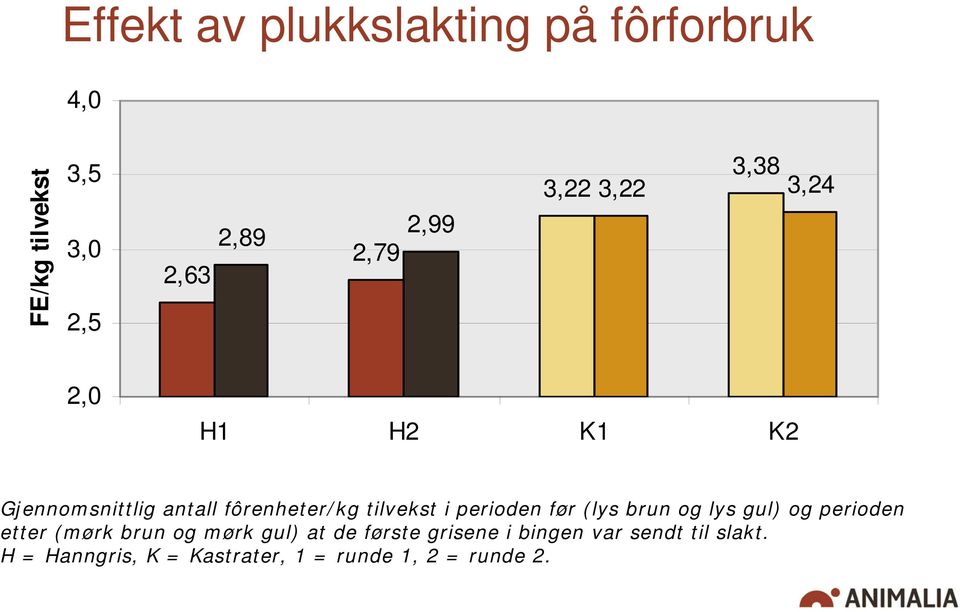 perioden før (lys brun og lys gul) og perioden etter (mørk brun og mørk gul) at de