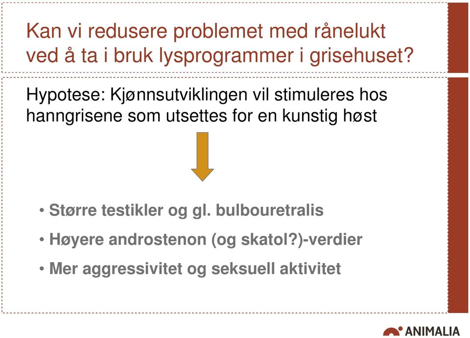 Hypotese: Kjønnsutviklingen vil stimuleres hos hanngrisene som utsettes