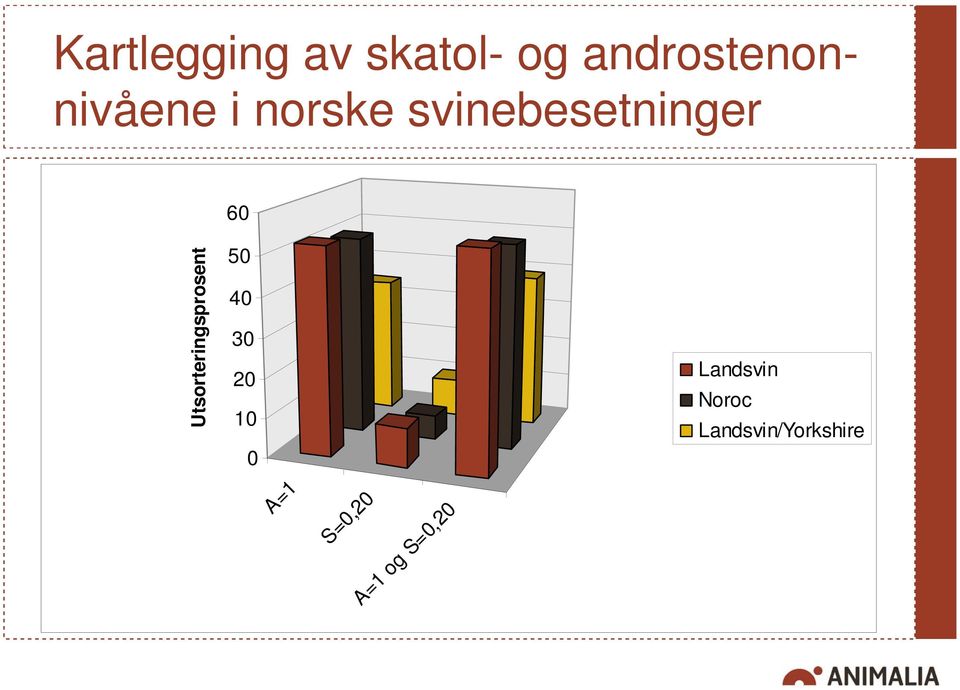 svinebesetninger 60 Utsorteringsprosent 50