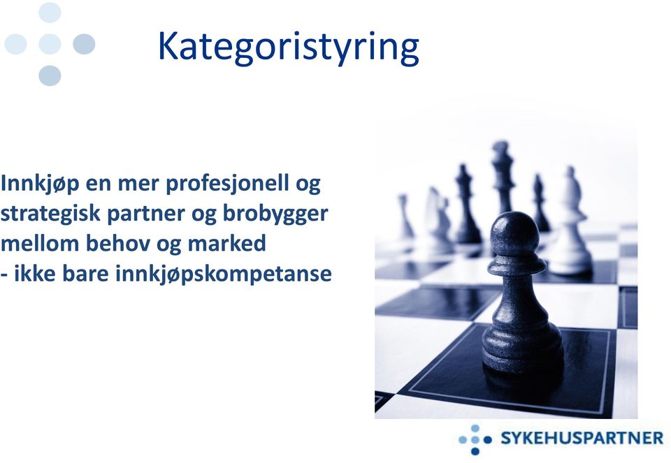 partner og brobygger mellom