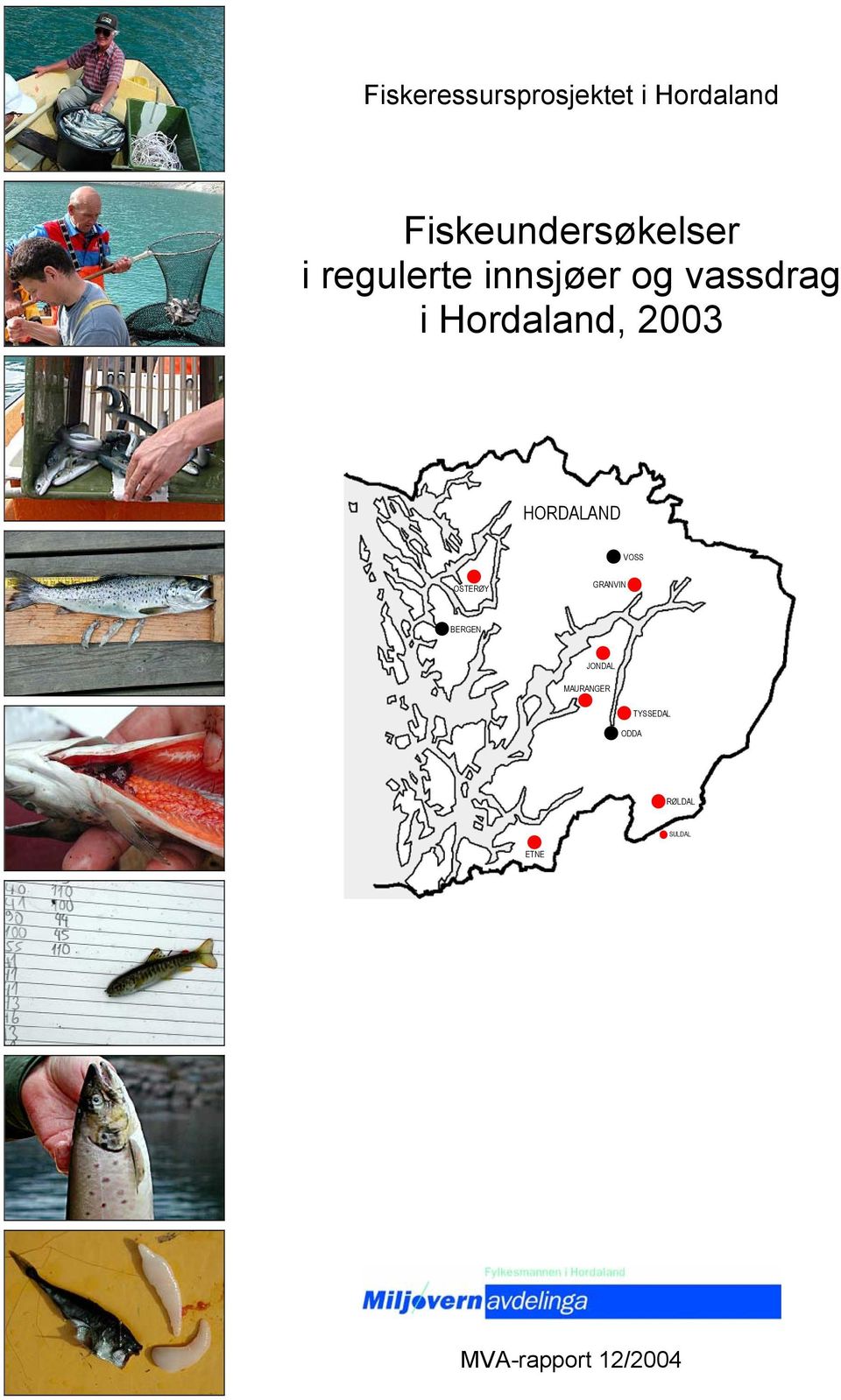 vassdrag i Hordaland, 3 HORDALAND VOSS OSTERØY