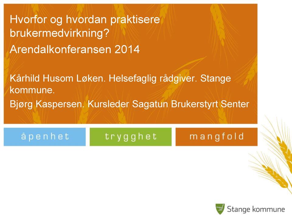 Arendalkonferansen 2014 Kårhild Husom Løken.