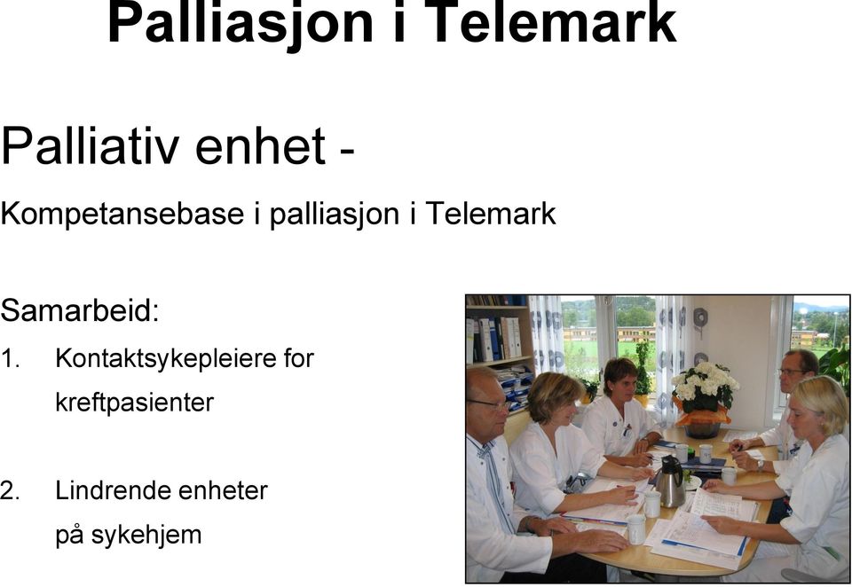 i Telemark Samarbeid: 1.