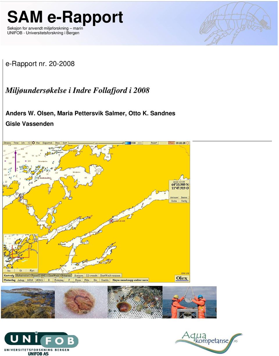 20-2008 Miljøundersøkelse i Indre Follafjord i 2008 Anders