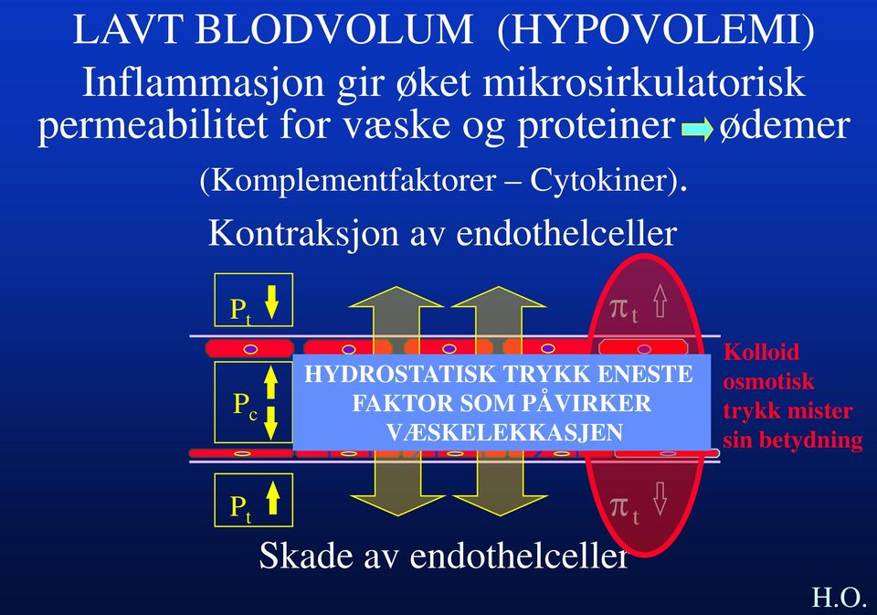 Kontraksjon av endothelceller P t P c P t π HYDROSTATISK TRYKK ENESTE FAKTOR SOM