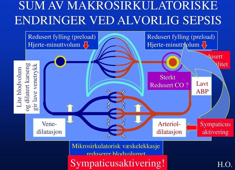Hjerte-minuttvolum Sterkt Redusert CO?