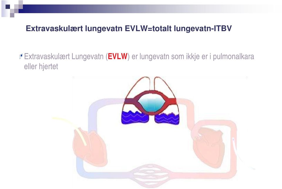 Extravaskulært Lungevatn (EVLW) er