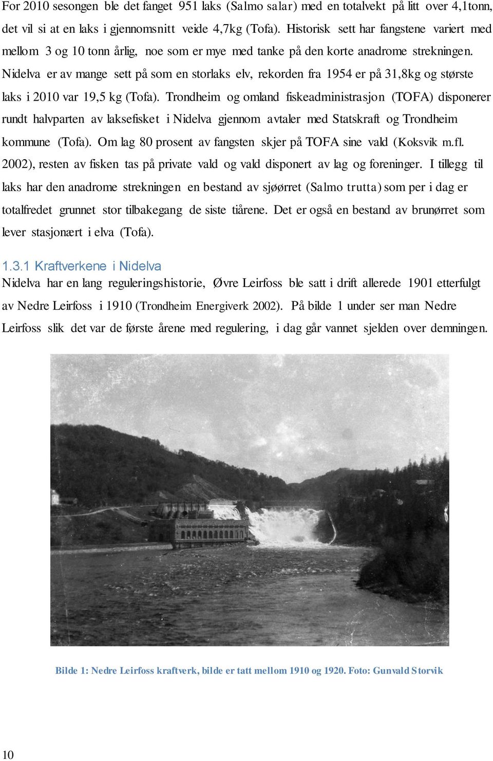 Nidelva er av mange sett på som en storlaks elv, rekorden fra 1954 er på 31,8kg og største laks i 2010 var 19,5 kg (Tofa).
