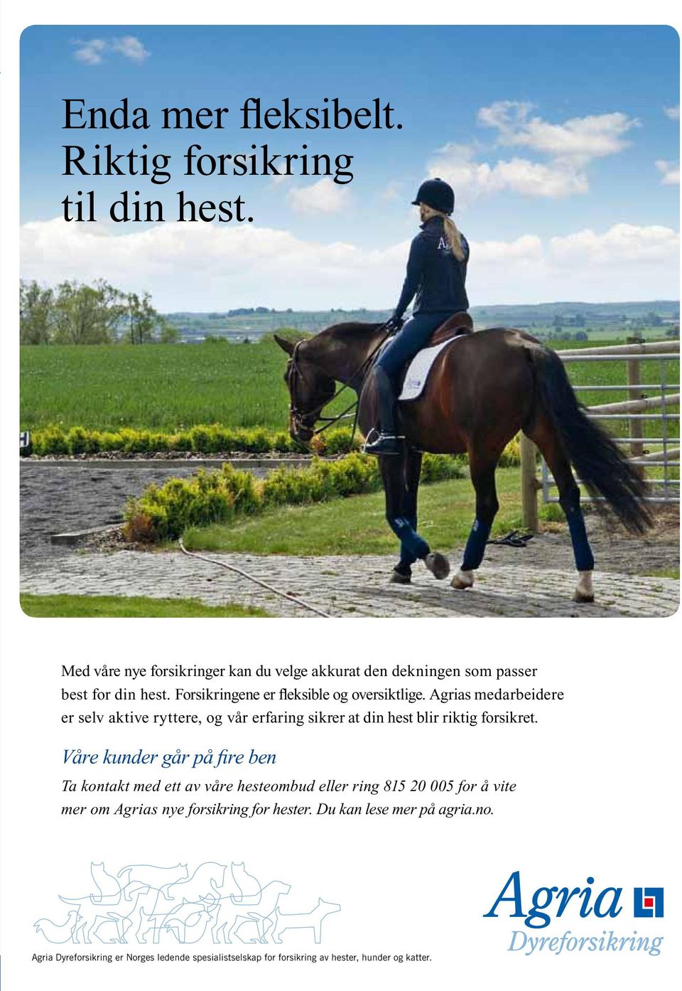 Våre kunder går på fire ben Ta kontakt med ett av våre hesteombud eller ring 815 20 005 for å vite mer om Agrias nye forsikring for hester.